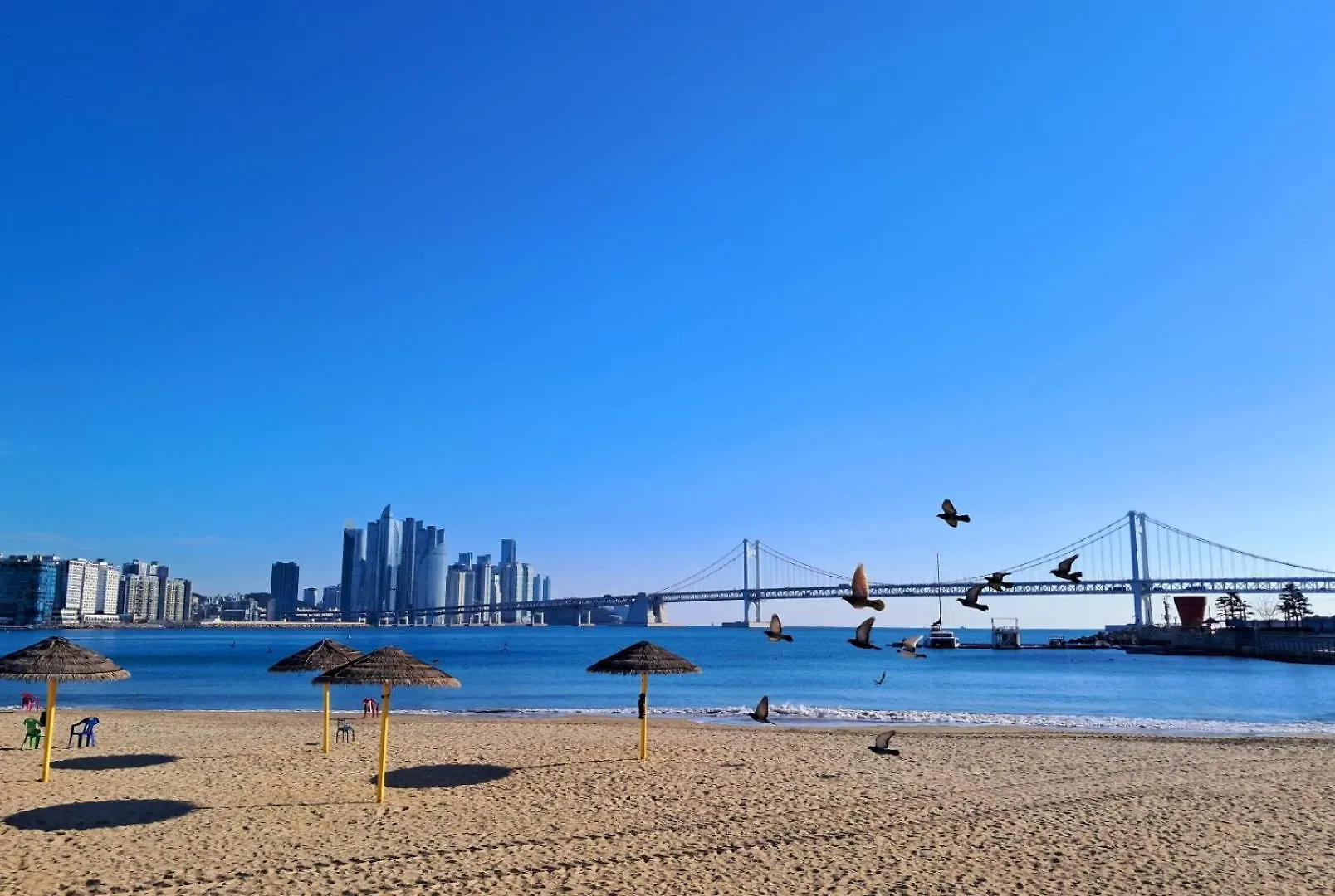 Now, Here, Gwanganri Busan Sydkorea